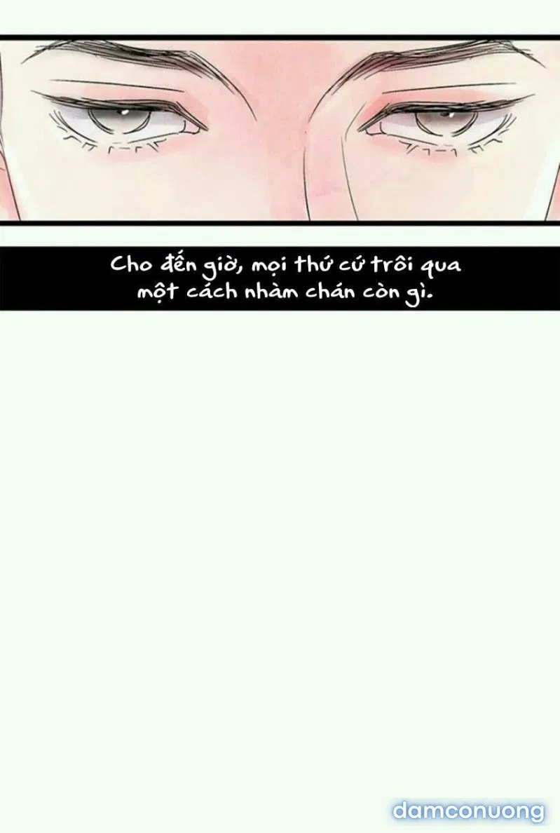 Đêm Thác Loạn (Đêm Dục Vọng) 