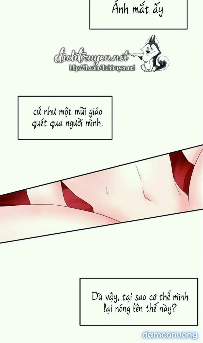 Đêm Thác Loạn (Đêm Dục Vọng) 