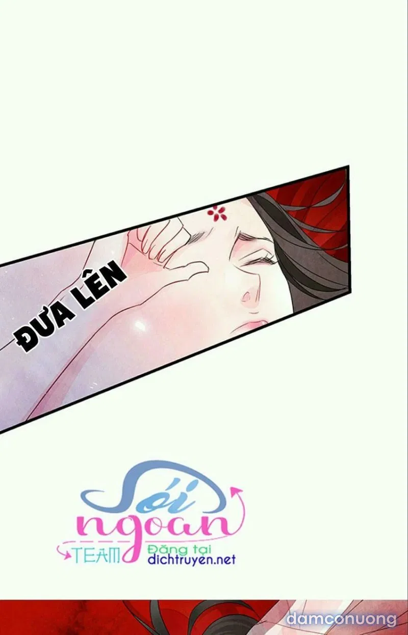 Đêm Thác Loạn (Đêm Dục Vọng) 