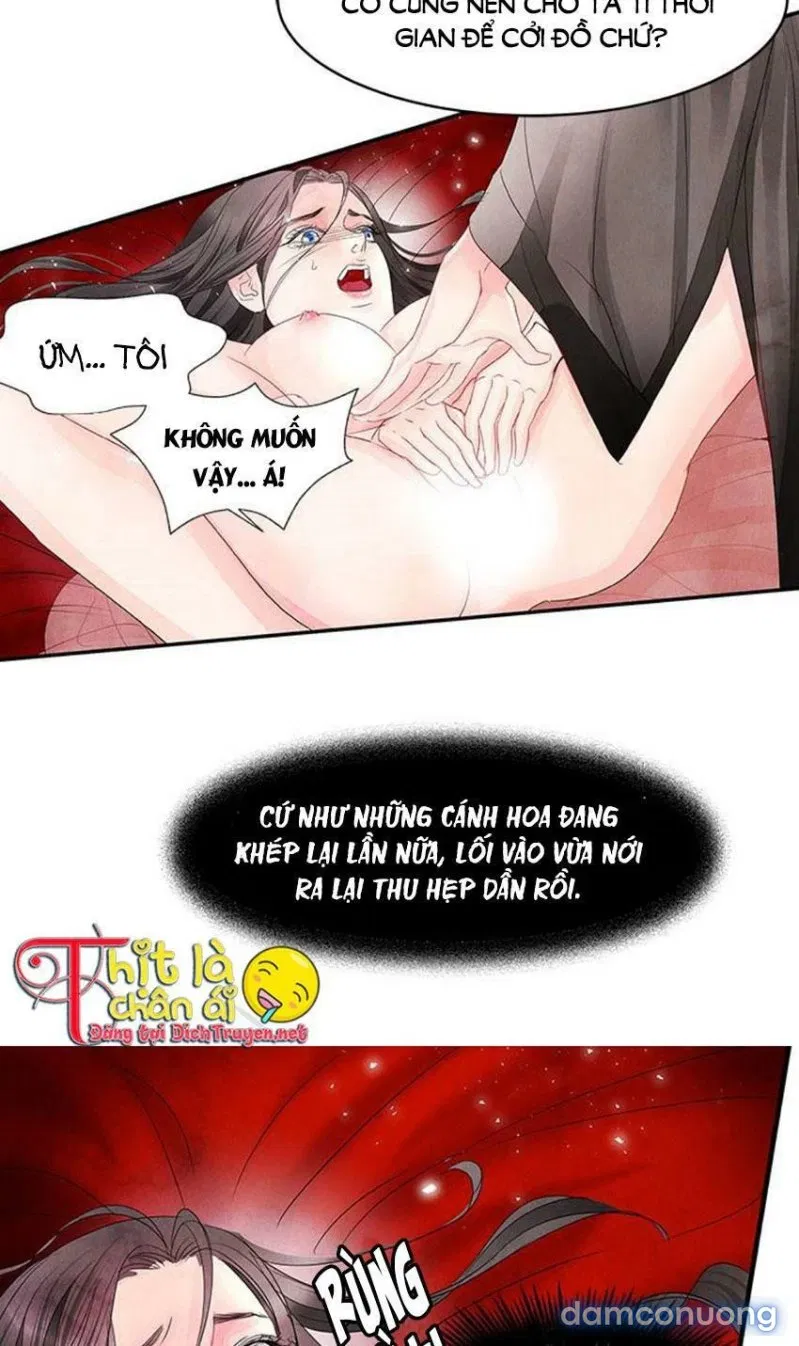 Đêm Thác Loạn (Đêm Dục Vọng) 