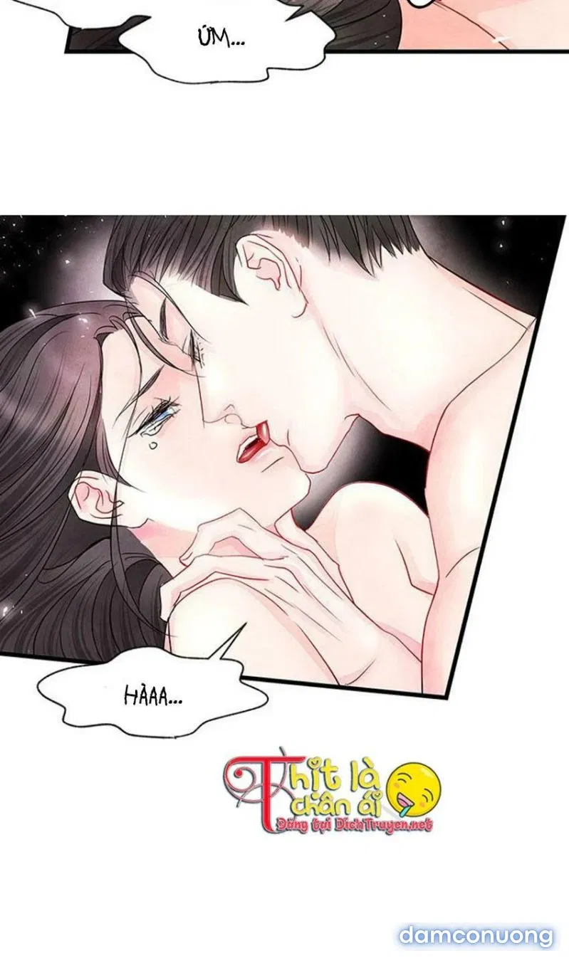 Đêm Thác Loạn (Đêm Dục Vọng) 