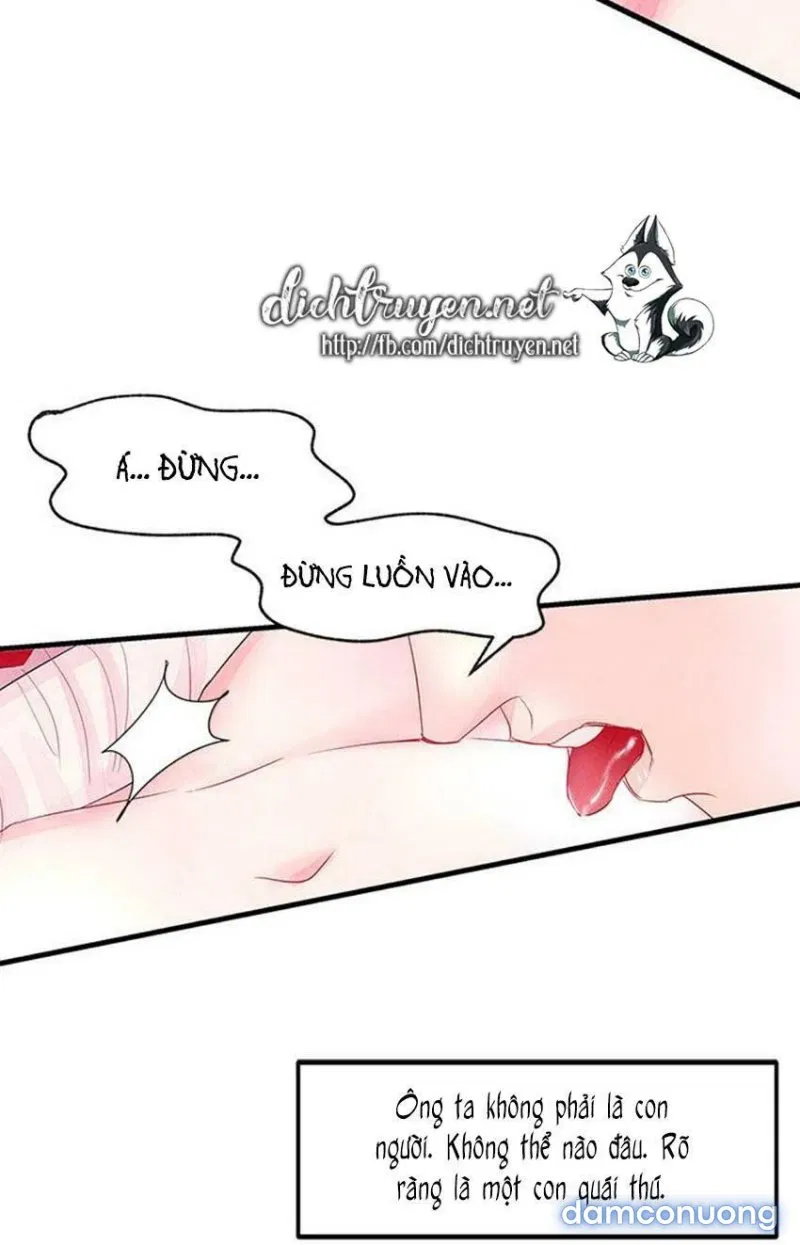 Đêm Thác Loạn (Đêm Dục Vọng) 