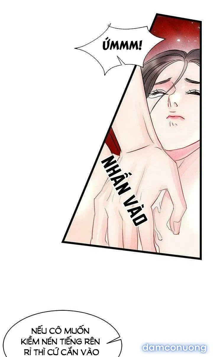Đêm Thác Loạn (Đêm Dục Vọng) 