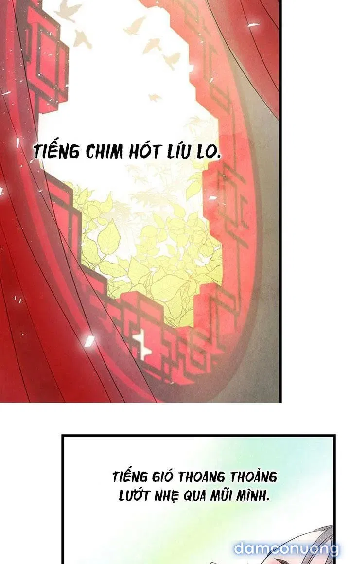 Đêm Thác Loạn (Đêm Dục Vọng) 