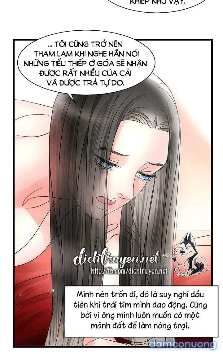 Đêm Thác Loạn (Đêm Dục Vọng) 