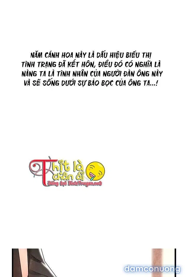 Đêm Thác Loạn (Đêm Dục Vọng) 