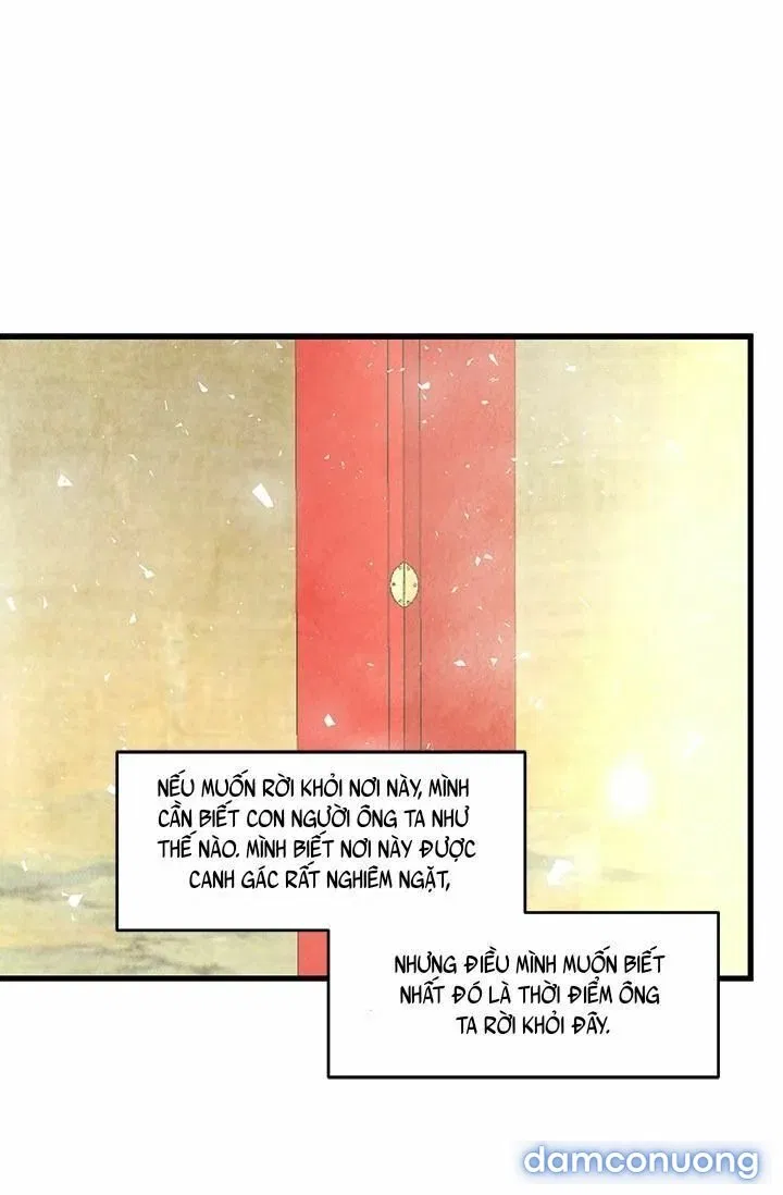 Đêm Thác Loạn (Đêm Dục Vọng) 