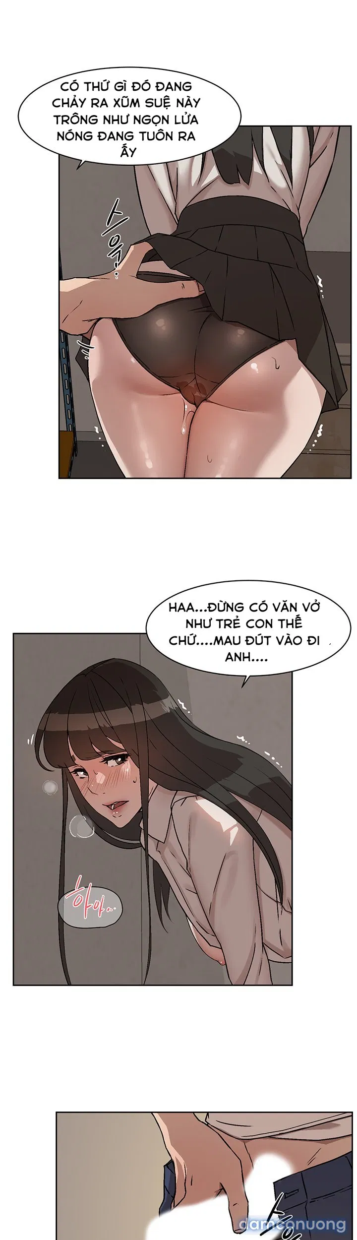 Bạn Tri Kỷ 