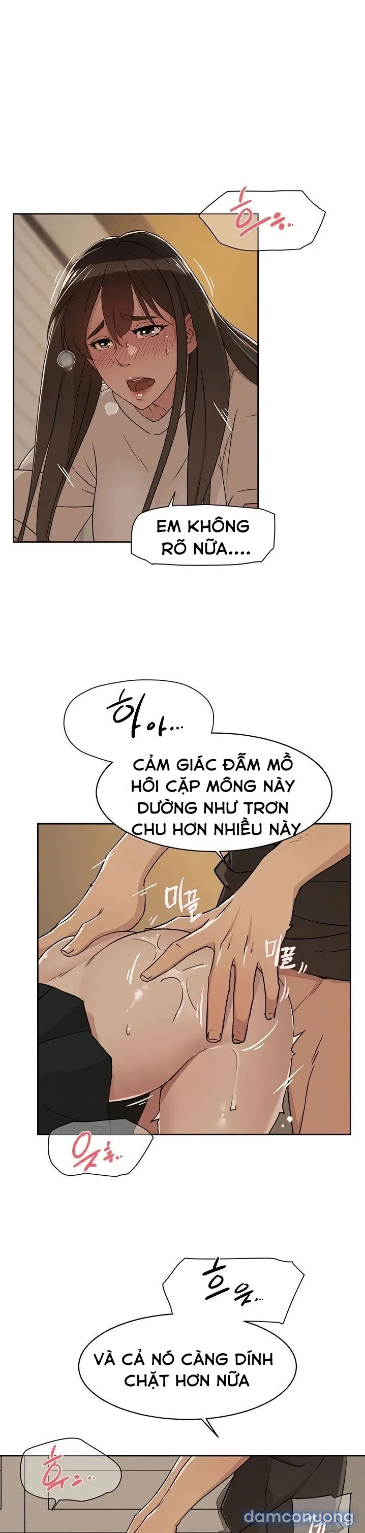 Bạn Tri Kỷ 