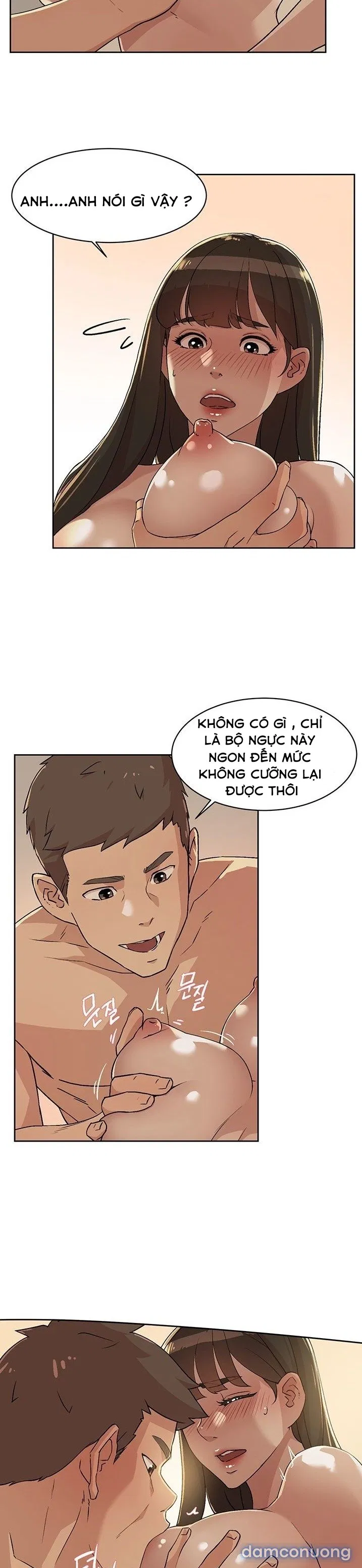 Bạn Tri Kỷ 