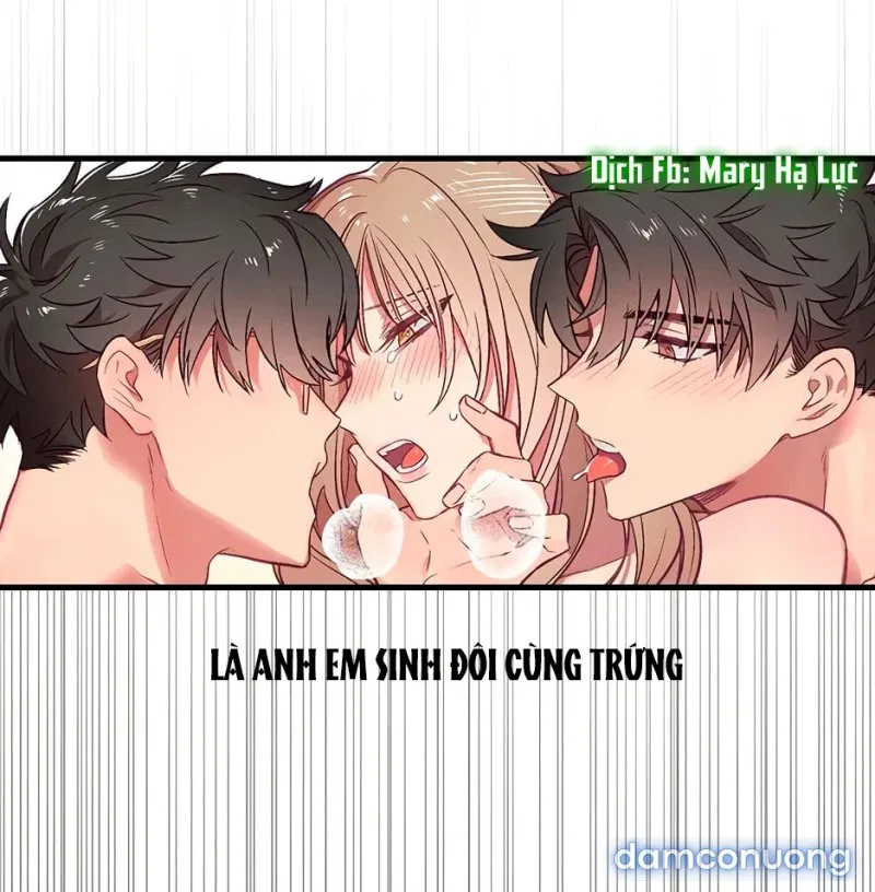 Cô Em Xinh Đẹp Và Ba Chàng Trai May Mắn 
