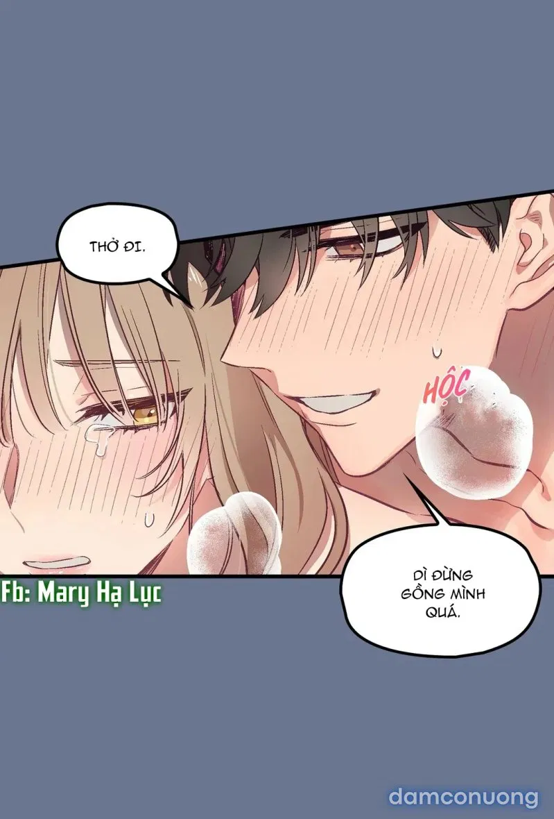 Cô Em Xinh Đẹp Và Ba Chàng Trai May Mắn 