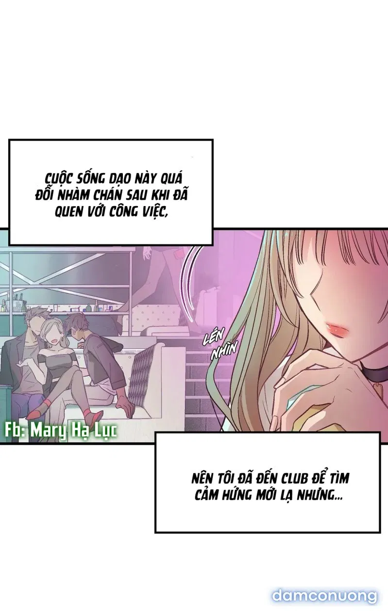 Cô Em Xinh Đẹp Và Ba Chàng Trai May Mắn 