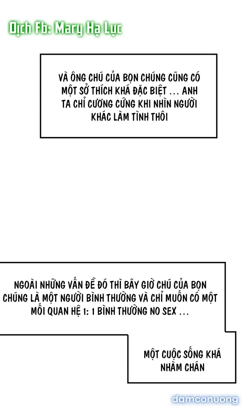 Cô Em Xinh Đẹp Và Ba Chàng Trai May Mắn 