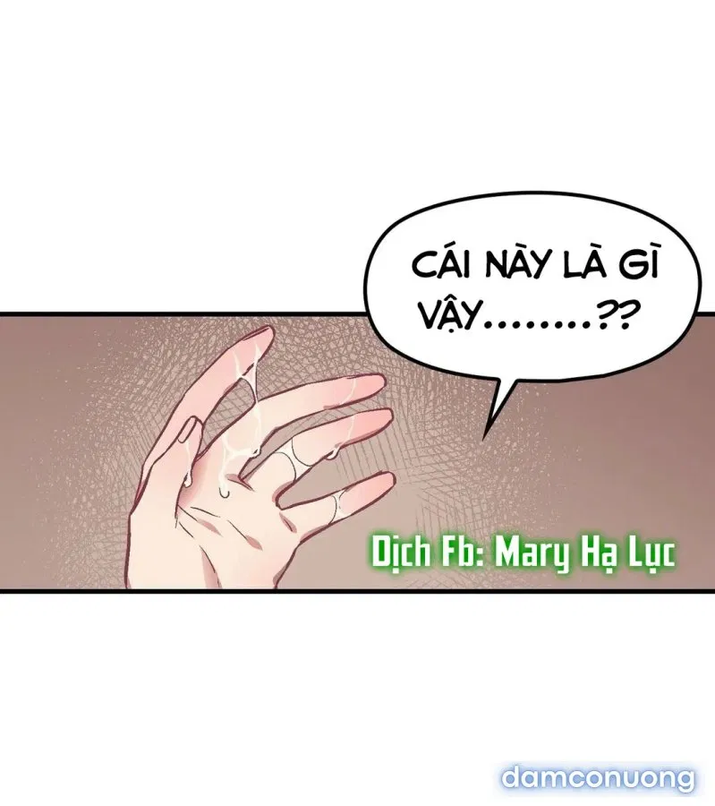 Cô Em Xinh Đẹp Và Ba Chàng Trai May Mắn 