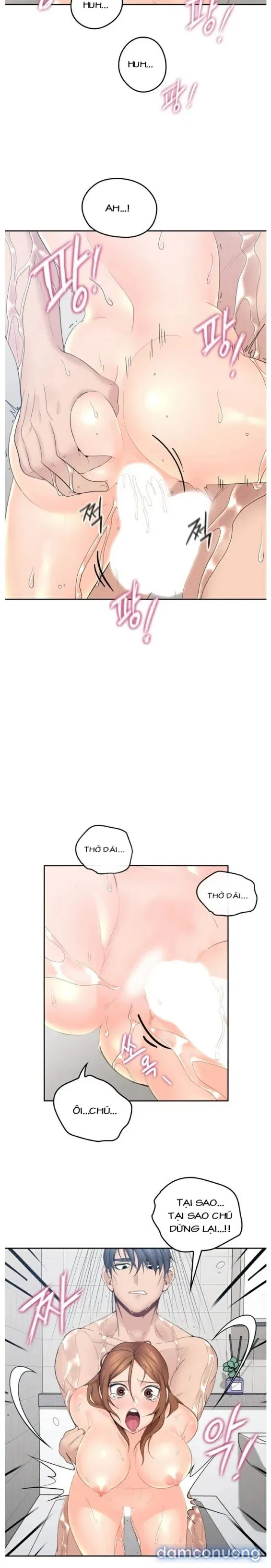 Chú Tôi 
