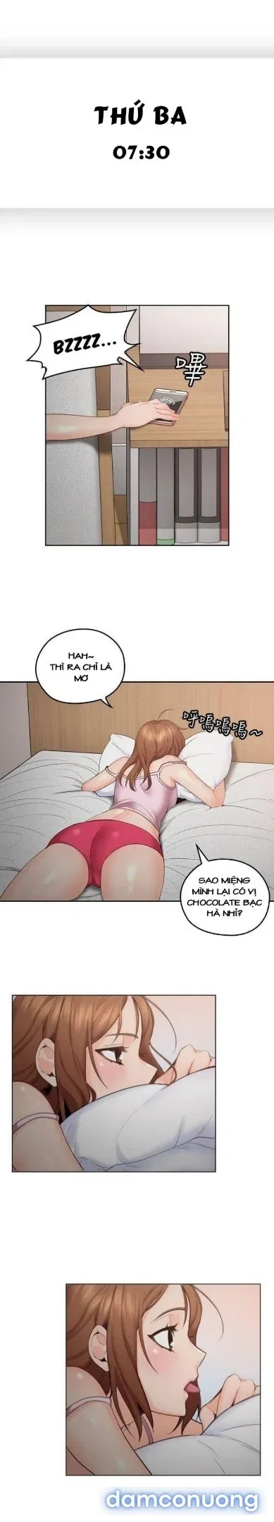 Chú Tôi 