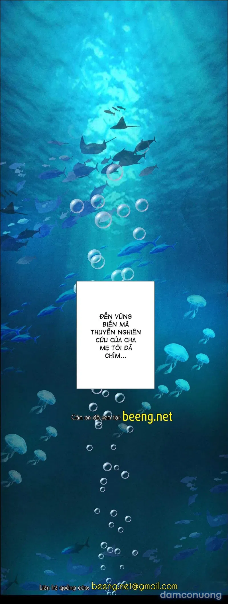 Bác Sĩ Lê Minh 