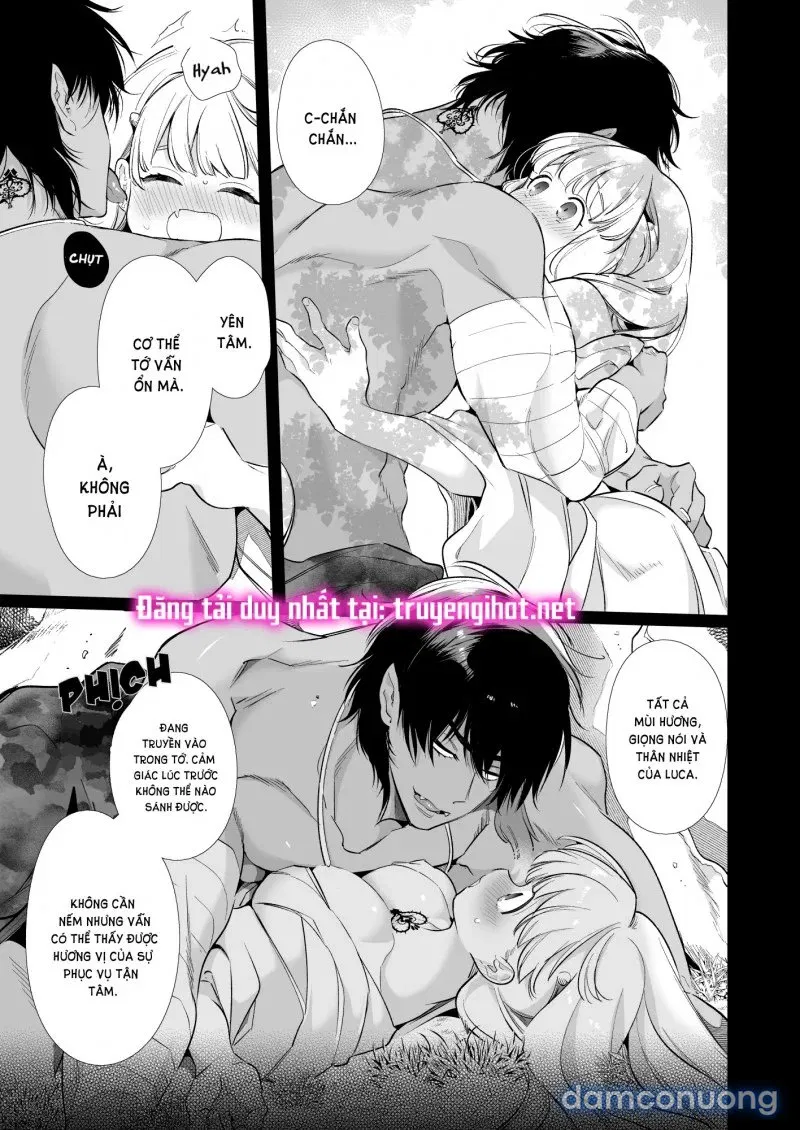 Mede Little Roy 