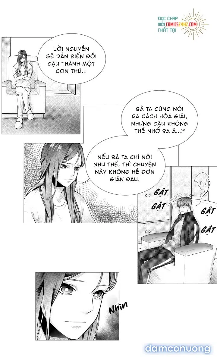 Pháp Sư Và Chàng Neet 