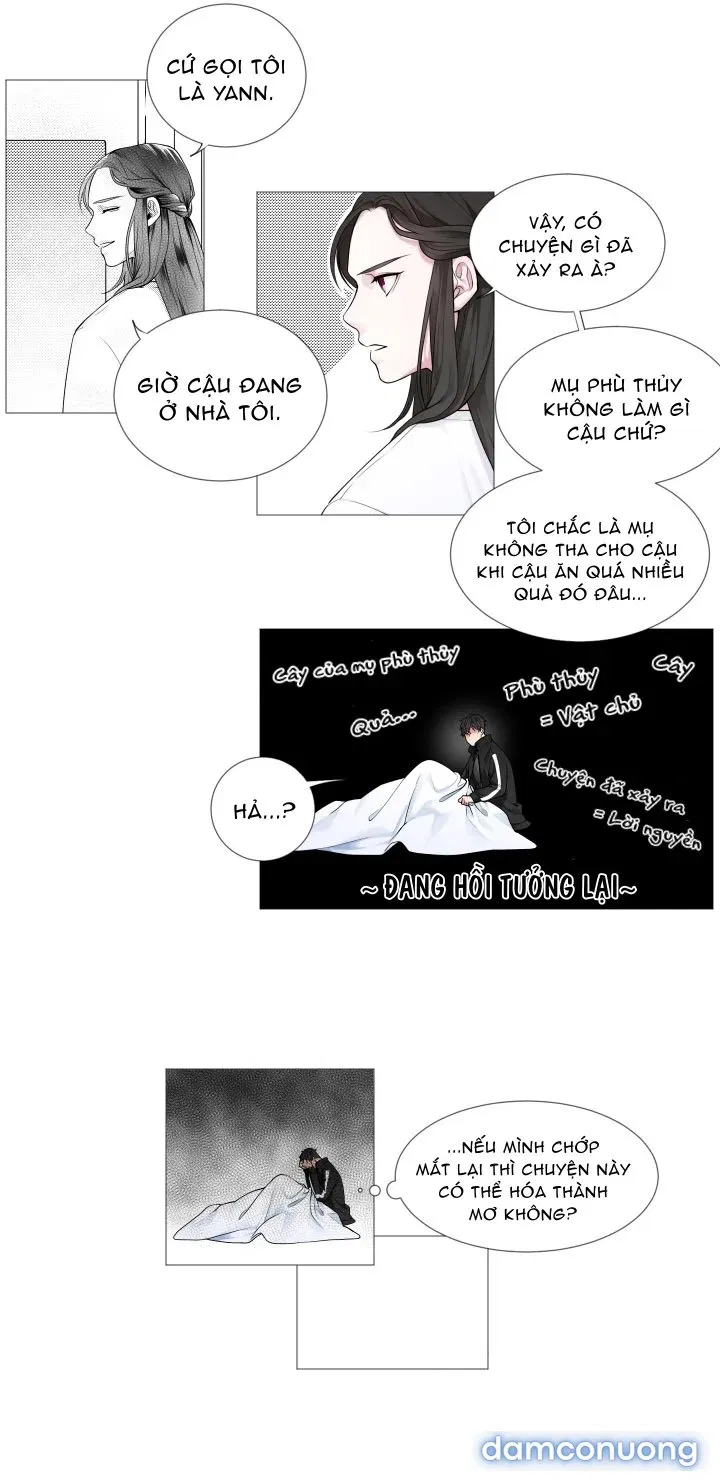 Pháp Sư Và Chàng Neet 