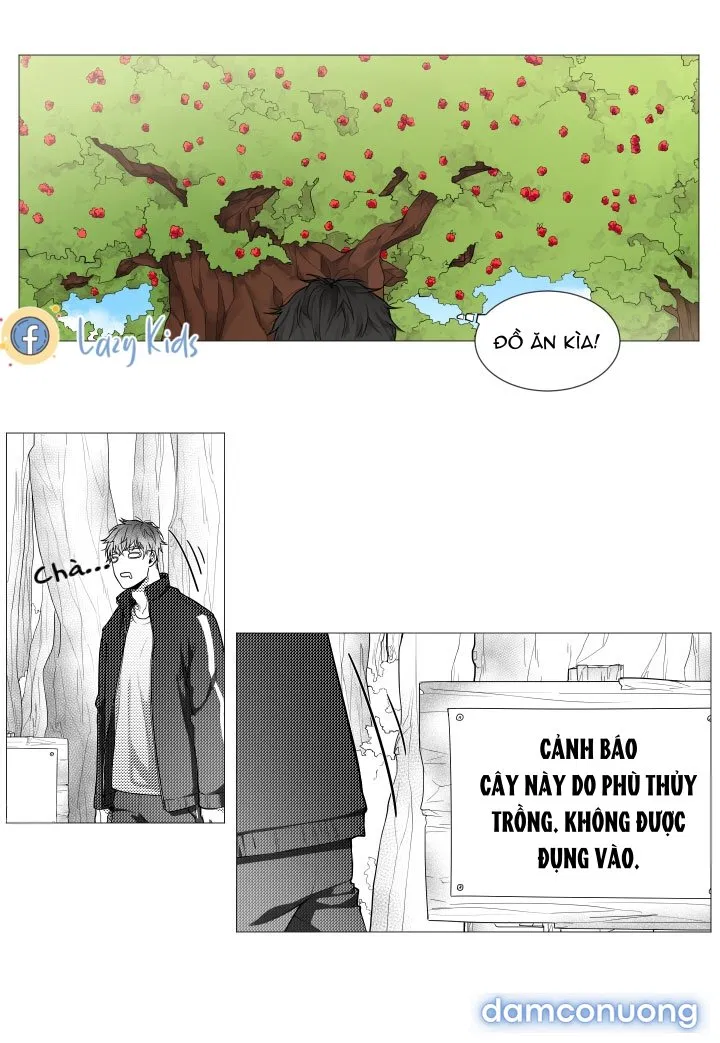 Pháp Sư Và Chàng Neet 