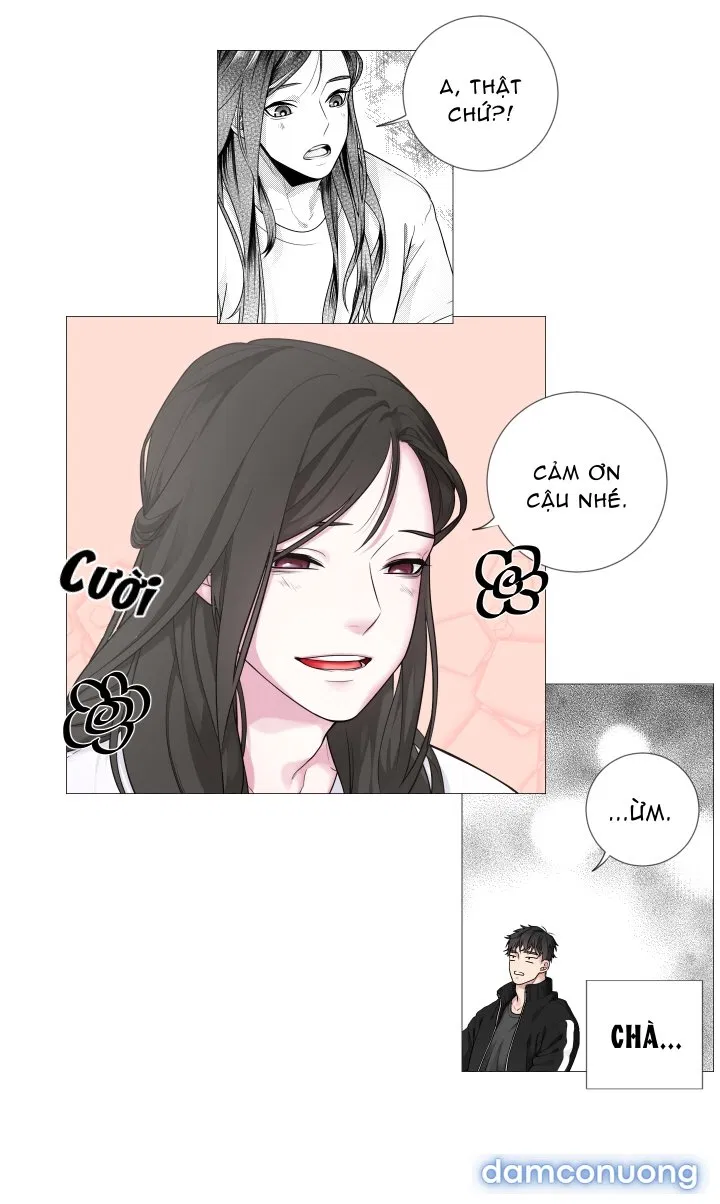 Pháp Sư Và Chàng Neet 