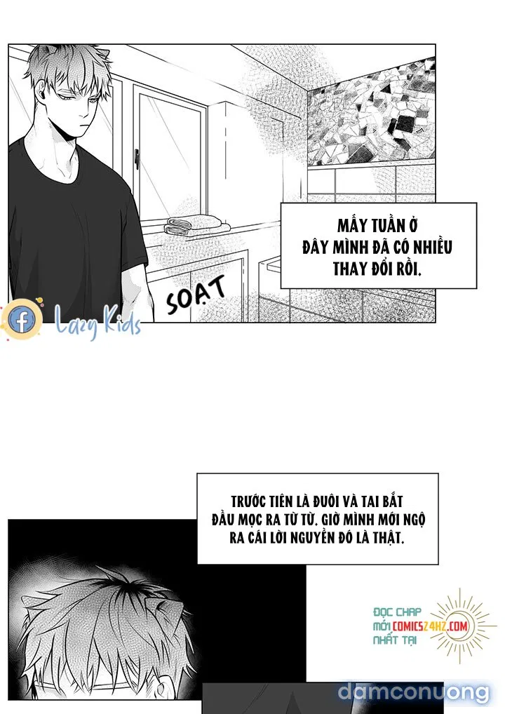 Pháp Sư Và Chàng Neet 