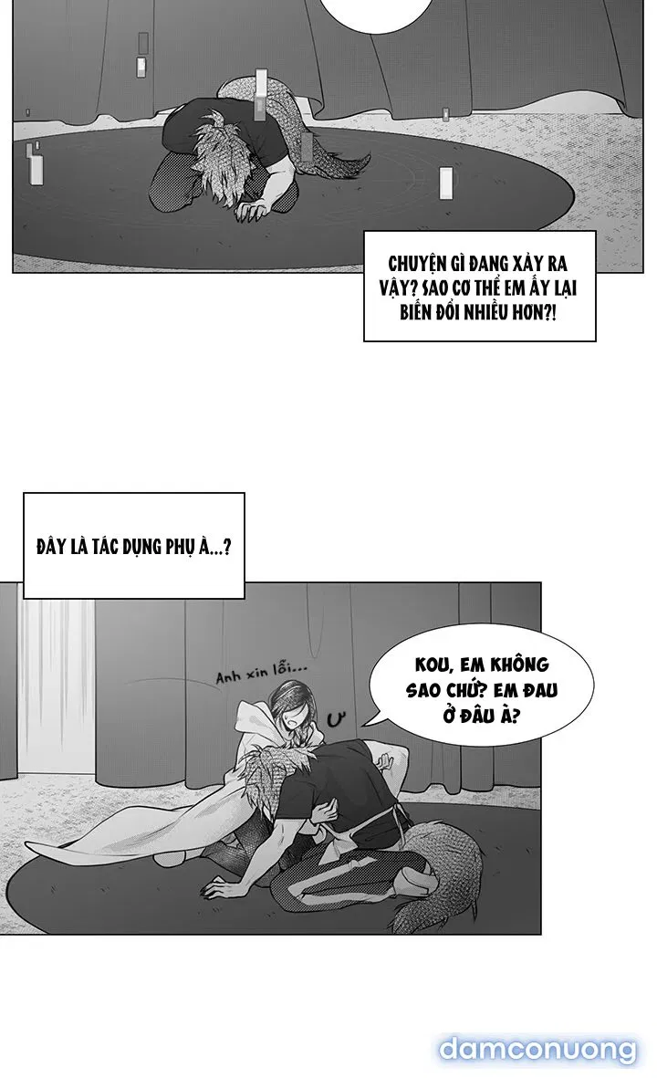 Pháp Sư Và Chàng Neet 