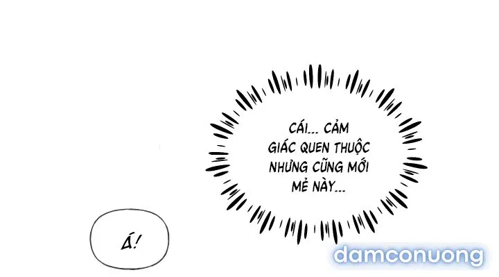 Lời Mời Gọi Phóng Đãng Của Nữ Công Tước 