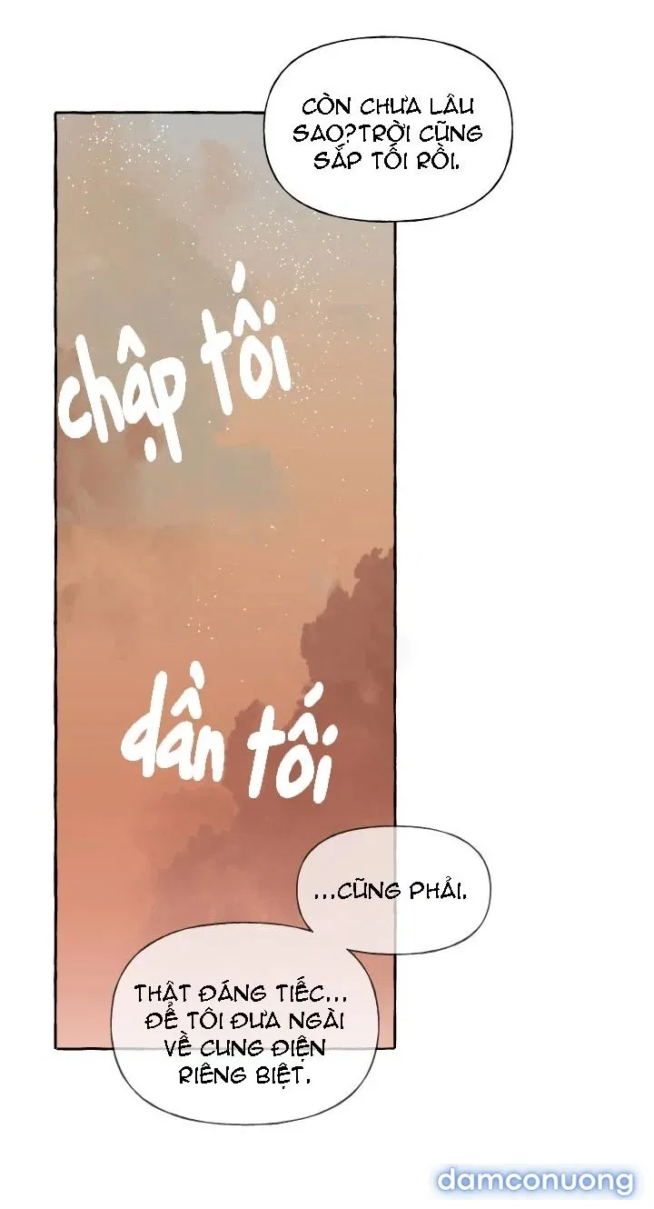 Lời Mời Gọi Phóng Đãng Của Nữ Công Tước 