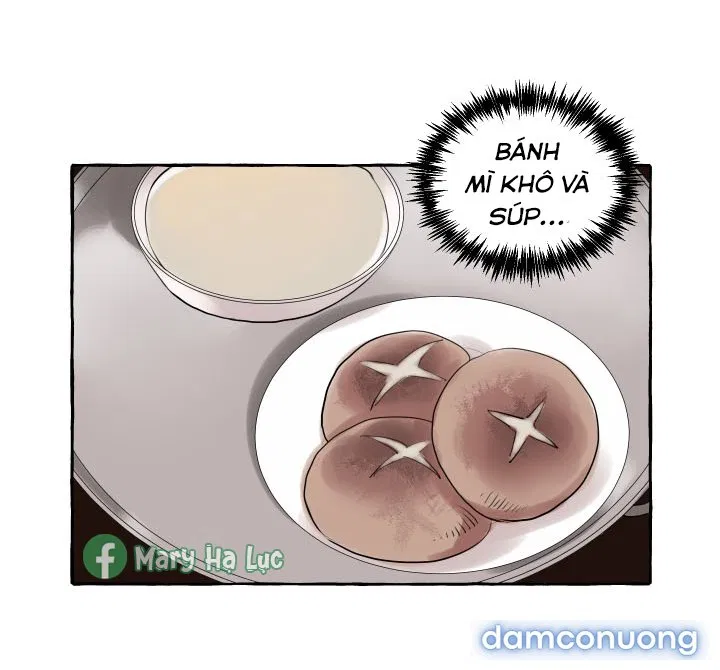 Lời Mời Gọi Phóng Đãng Của Nữ Công Tước 