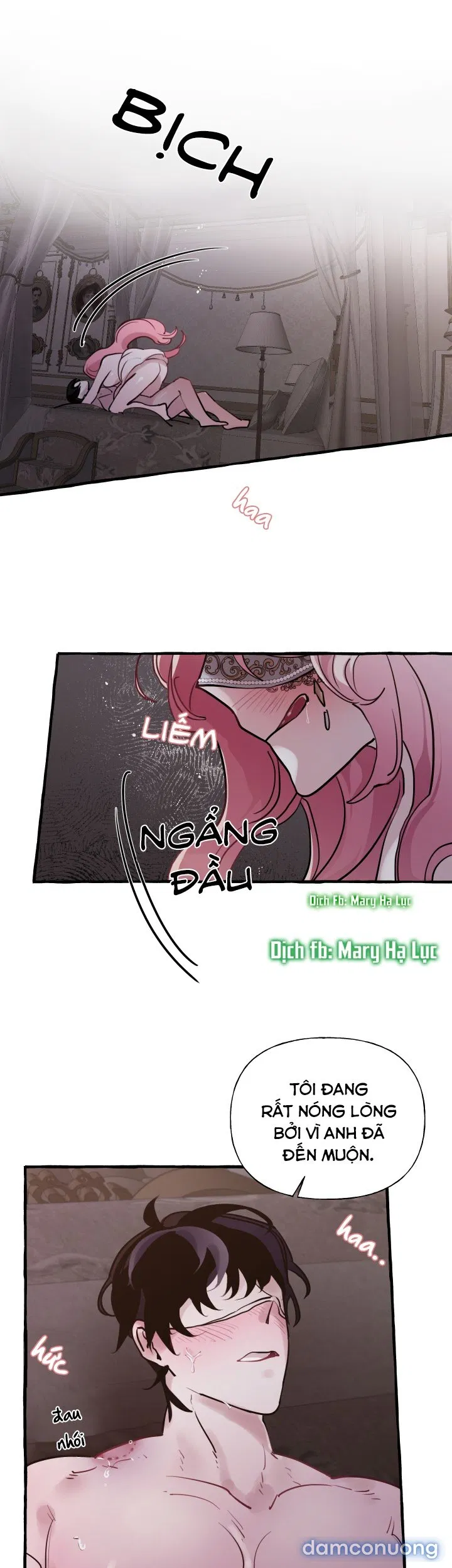 Lời Mời Gọi Phóng Đãng Của Nữ Công Tước 