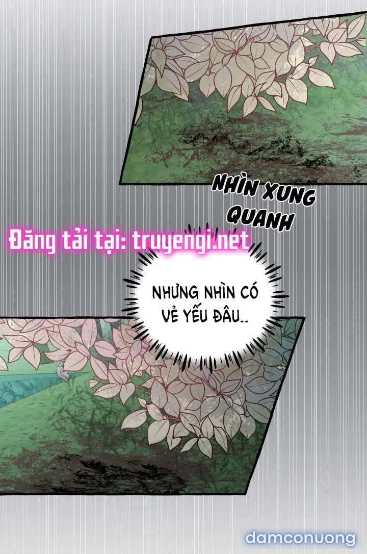 Lời Mời Gọi Phóng Đãng Của Nữ Công Tước 
