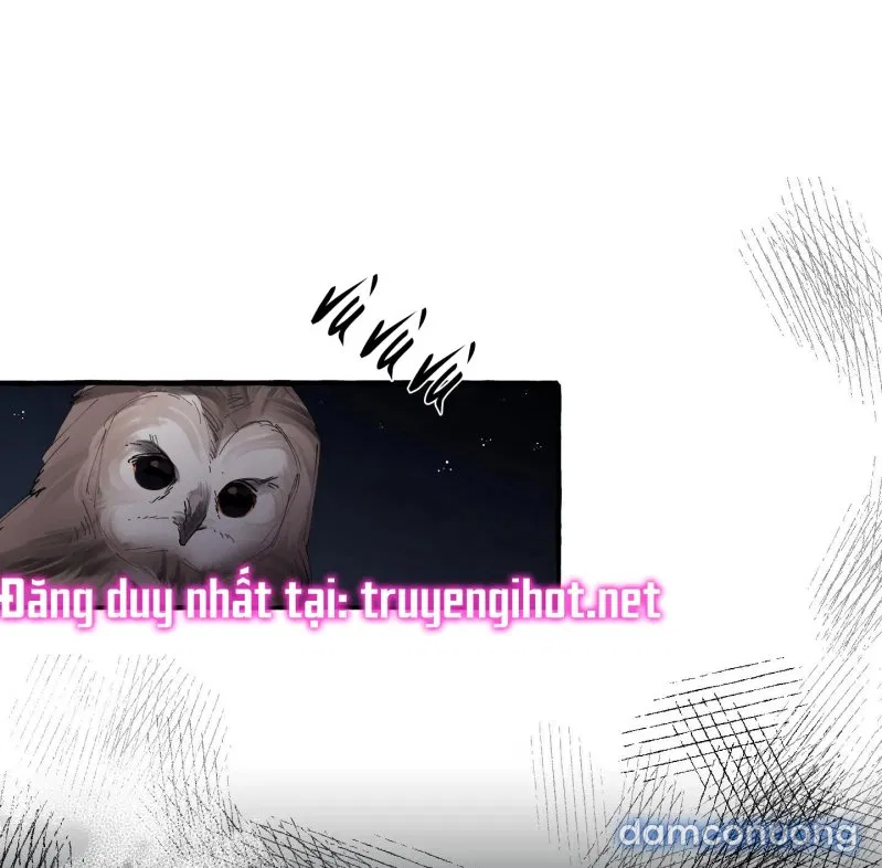 Lời Mời Gọi Phóng Đãng Của Nữ Công Tước 