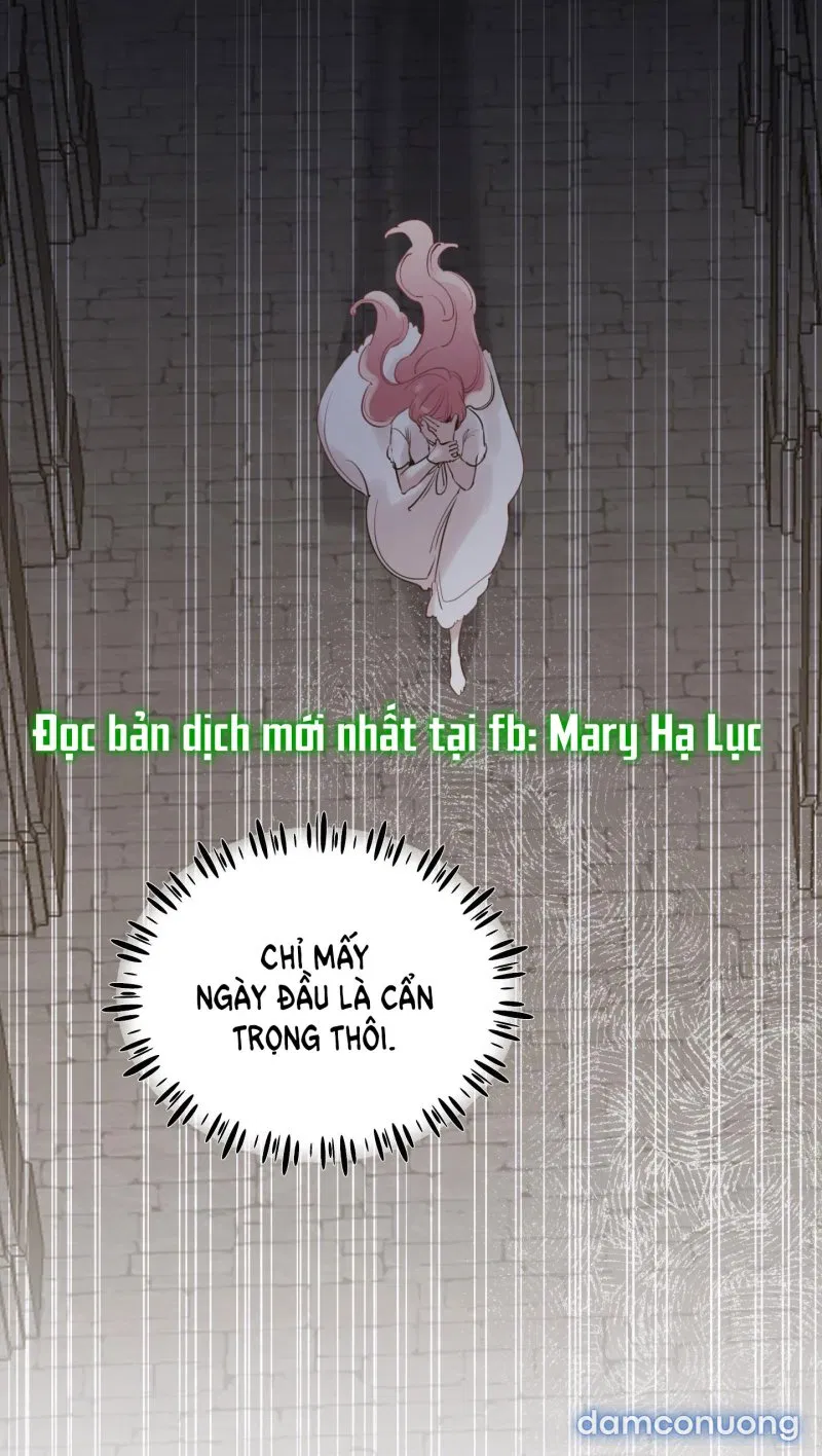 Lời Mời Gọi Phóng Đãng Của Nữ Công Tước 