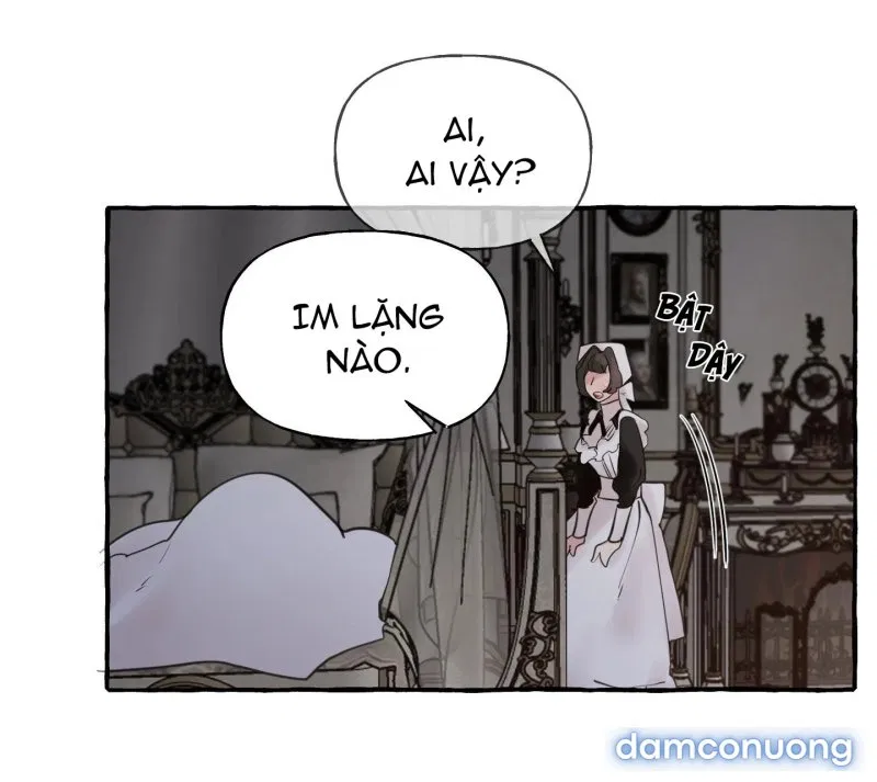 Lời Mời Gọi Phóng Đãng Của Nữ Công Tước 
