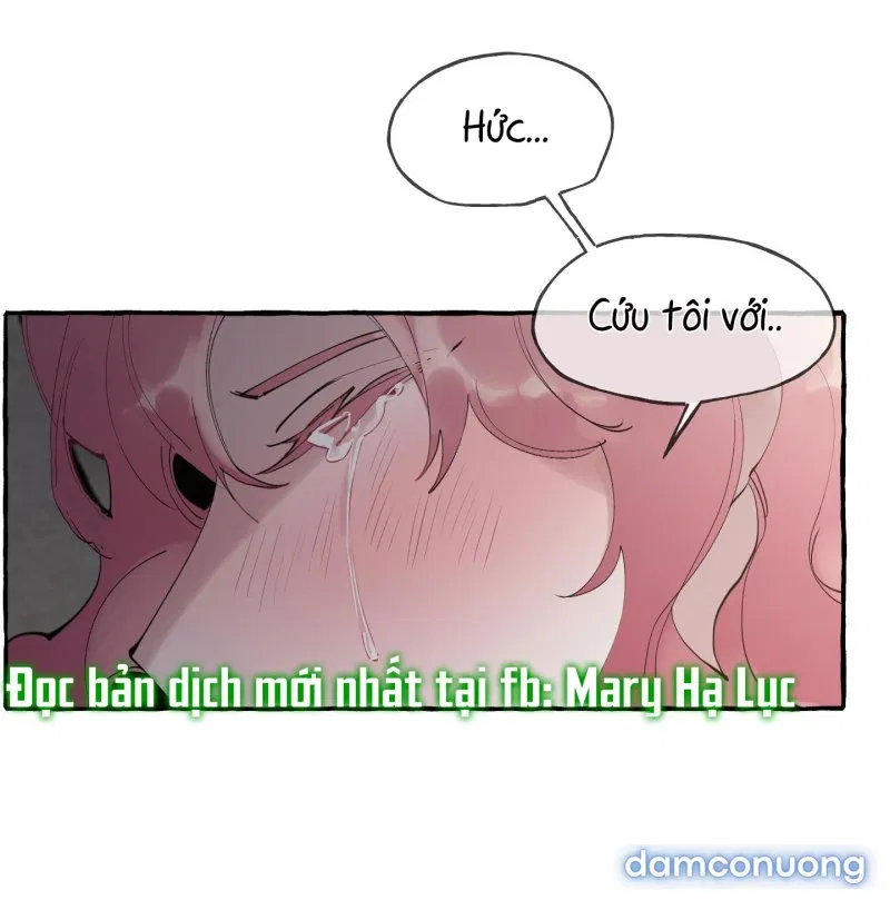 Lời Mời Gọi Phóng Đãng Của Nữ Công Tước 