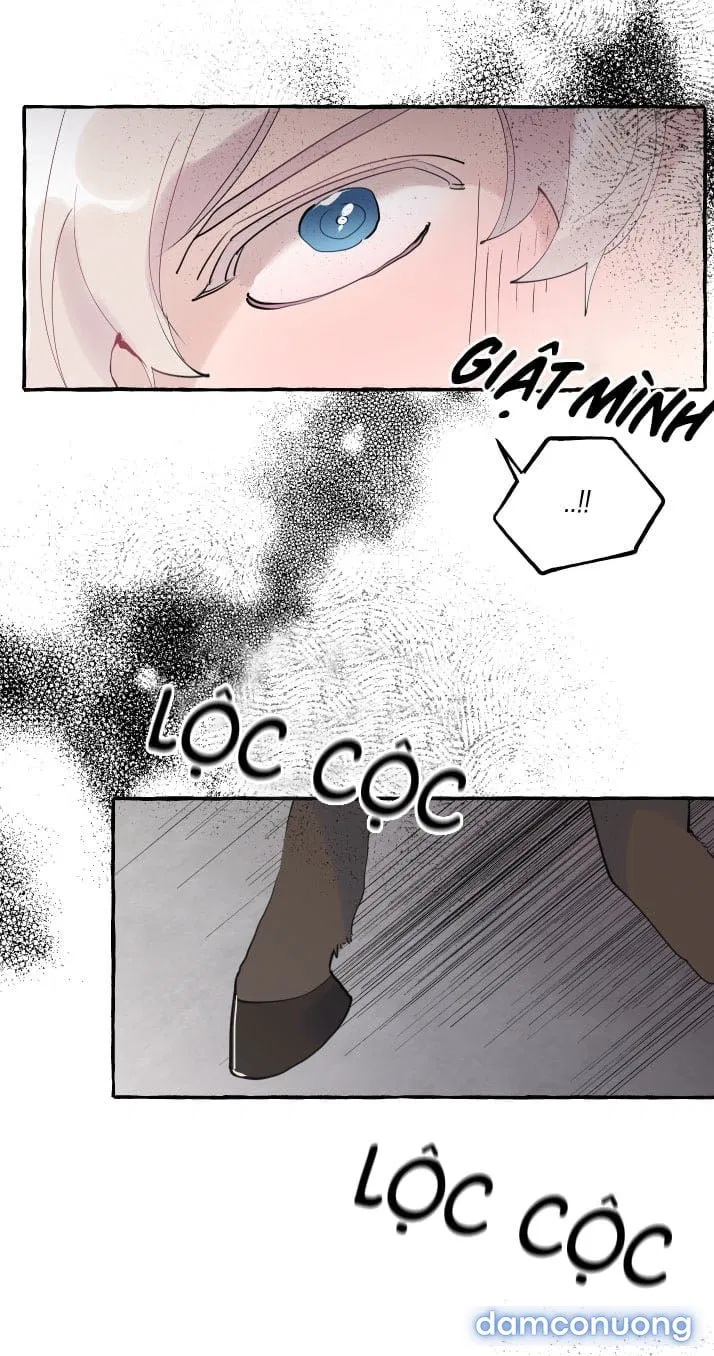 Lời Mời Gọi Phóng Đãng Của Nữ Công Tước 