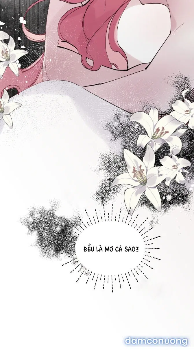 Lời Mời Gọi Phóng Đãng Của Nữ Công Tước 