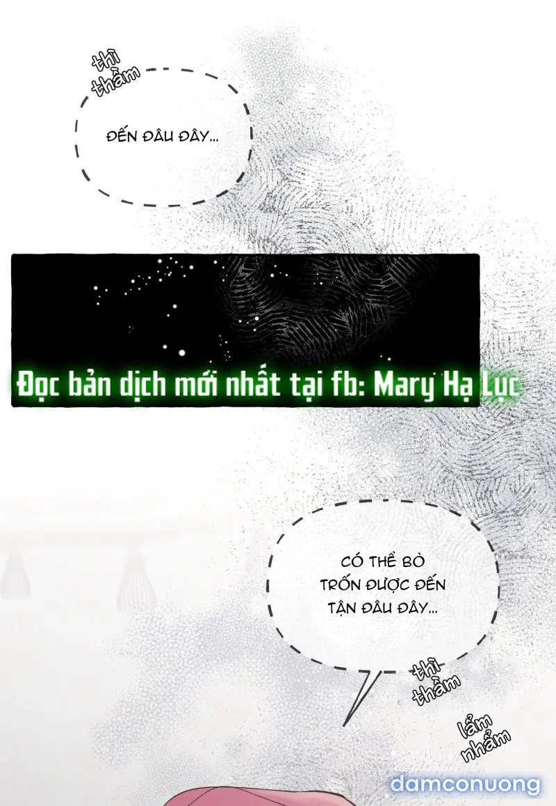 Lời Mời Gọi Phóng Đãng Của Nữ Công Tước 