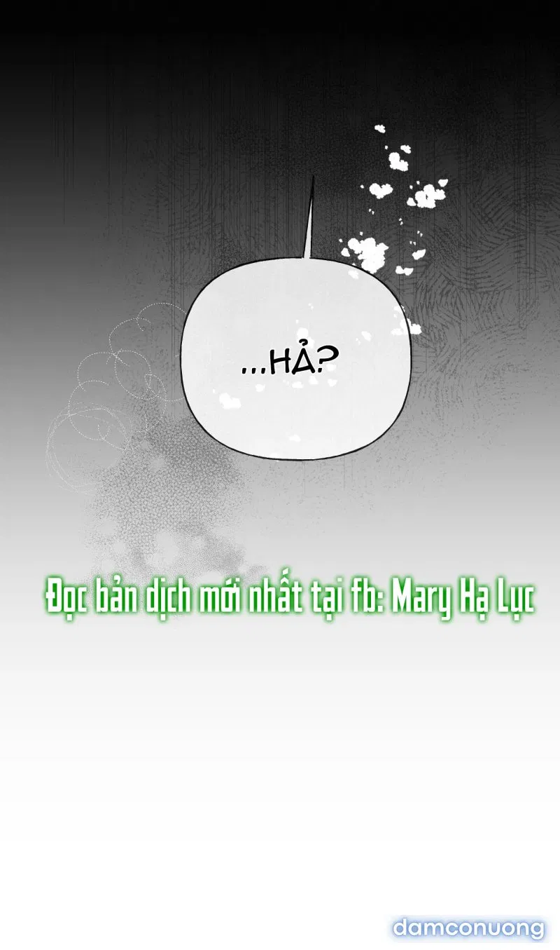Lời Mời Gọi Phóng Đãng Của Nữ Công Tước 