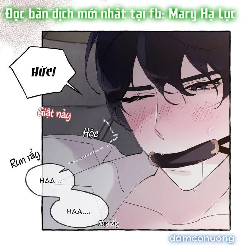 Lời Mời Gọi Phóng Đãng Của Nữ Công Tước 