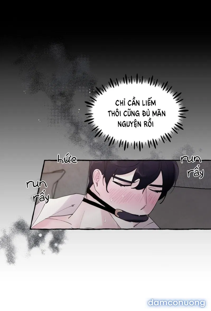 Lời Mời Gọi Phóng Đãng Của Nữ Công Tước 