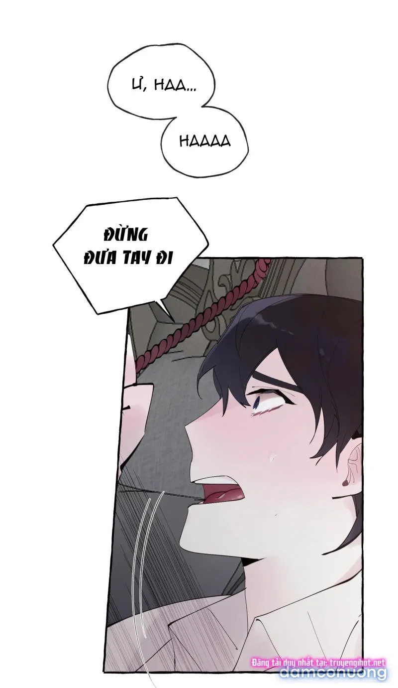 Lời Mời Gọi Phóng Đãng Của Nữ Công Tước 
