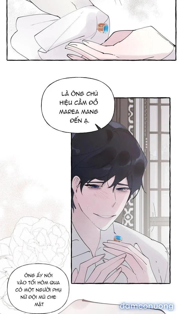 Lời Mời Gọi Phóng Đãng Của Nữ Công Tước 