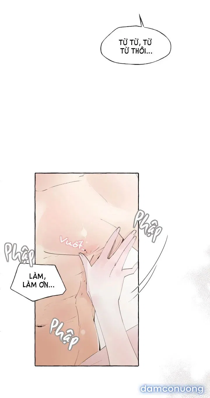 Lời Mời Gọi Phóng Đãng Của Nữ Công Tước 