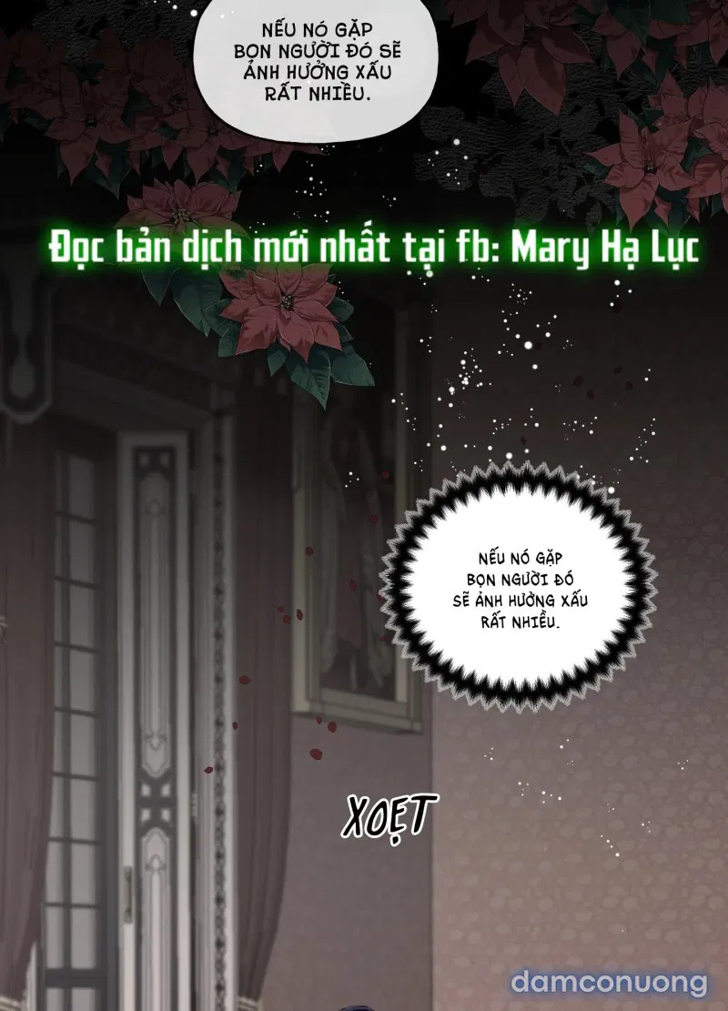 Lời Mời Gọi Phóng Đãng Của Nữ Công Tước 