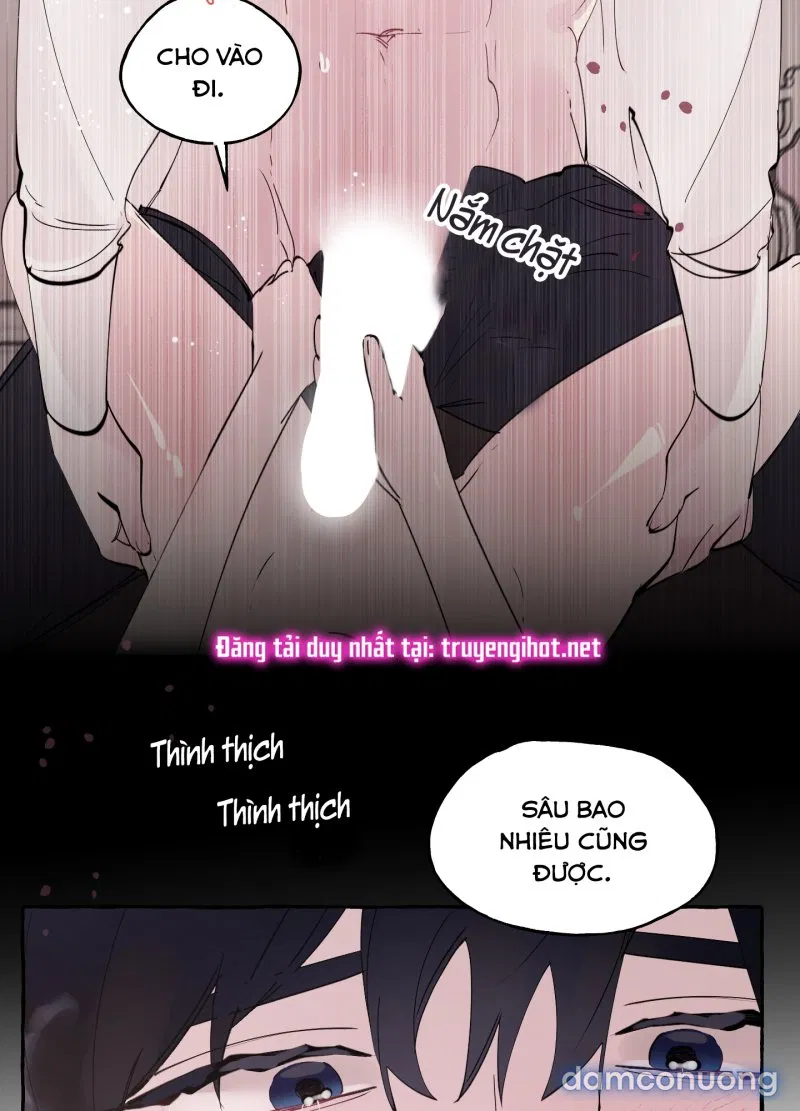 Lời Mời Gọi Phóng Đãng Của Nữ Công Tước 