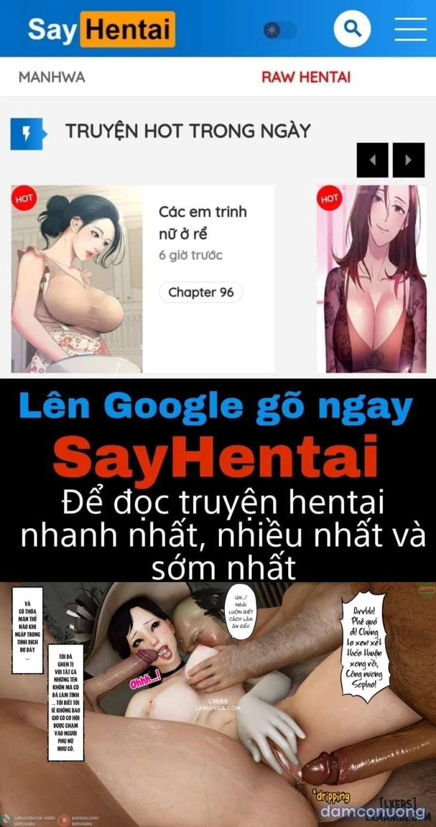 Quý Co Hoàng Gia 